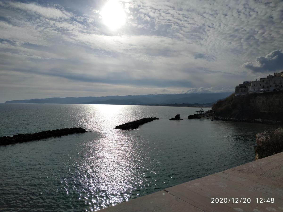Villa Scialara Vieste Eksteriør billede